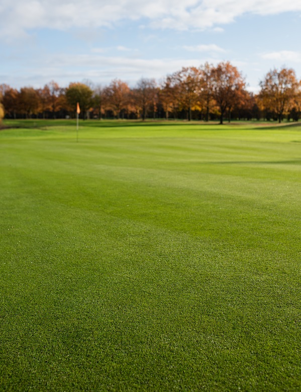 Golfbaan de Woeste Kop in Axel gebruikt graszaad van DLF | DLF